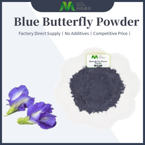 Blaues Schmetterling Erbsen -Teepulver