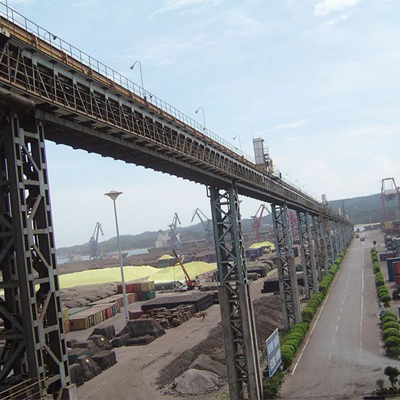 Pneumatic conveyor for paddy in granary