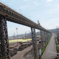 Pneumatic conveyor for grain storage