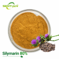 High-Potency Silymarin 80% Plant Extract
