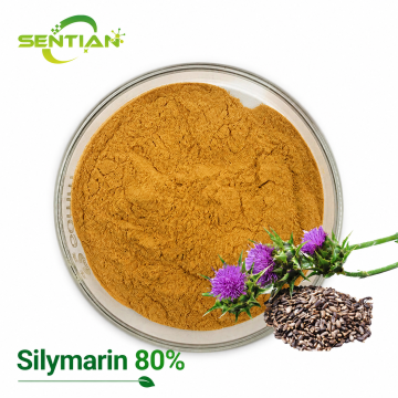 High-Potency Silymarin 80% Plant Extract