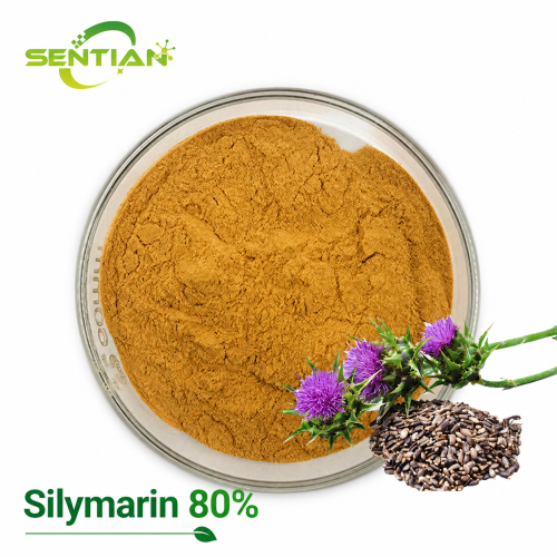 High-Potency Silymarin 80% Plant Extract
