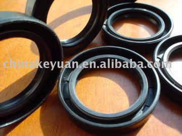 PTFE lip seal gasket