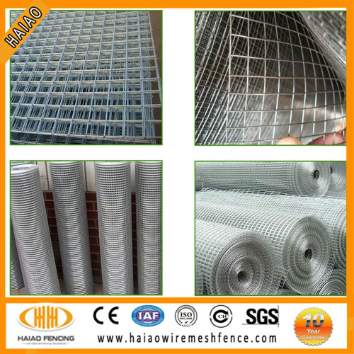 China professional cheap hot dipped galvanized welded wire mesh/100x100 stainless steel wire mesh/square wire mesh 10mm