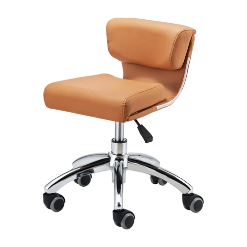 Height Adjustable Master Stool Salon Furniture