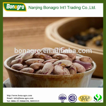 H.P.S quality chinese light speckled kidney beans