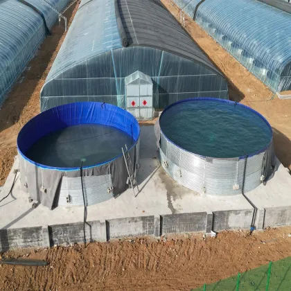 Plastic Tank Equipment for Fish and Shrimp RAS Farming Systems