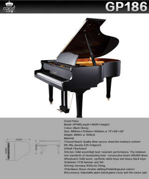 Carod big piano for child