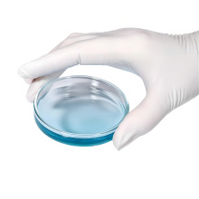 Polyrerene Petri Dish con coperchio ventilato 90*15mm sterile