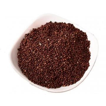 Perilla seed top quality