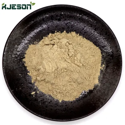 Wholesale sea cucumber powder sea cucumber peptide