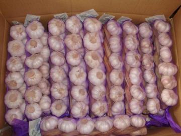 Pesi diversi di ogni treccia di aglio Alta qualità