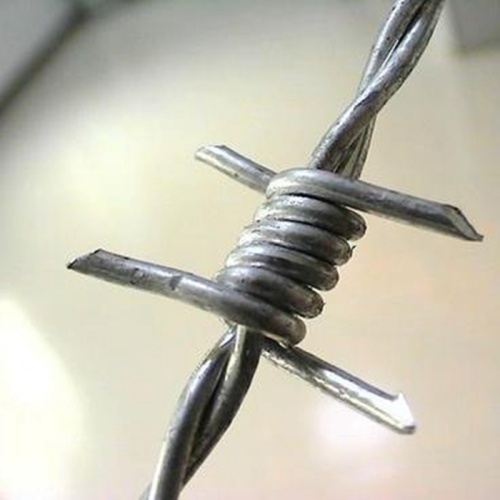 Hot Dipped Galvanized Barbed Wire Hot-Dipped Galvanized Barbed Wire for Fence Manufactory
