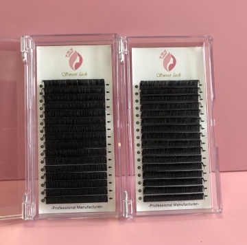 Sweetlash Private Label عالي الجودة من الكشمير القطع الناقص غير اللامع ، صواني الرموش الفردية الفردية