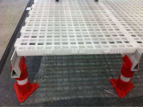 Chicken Plastic Floor Slat