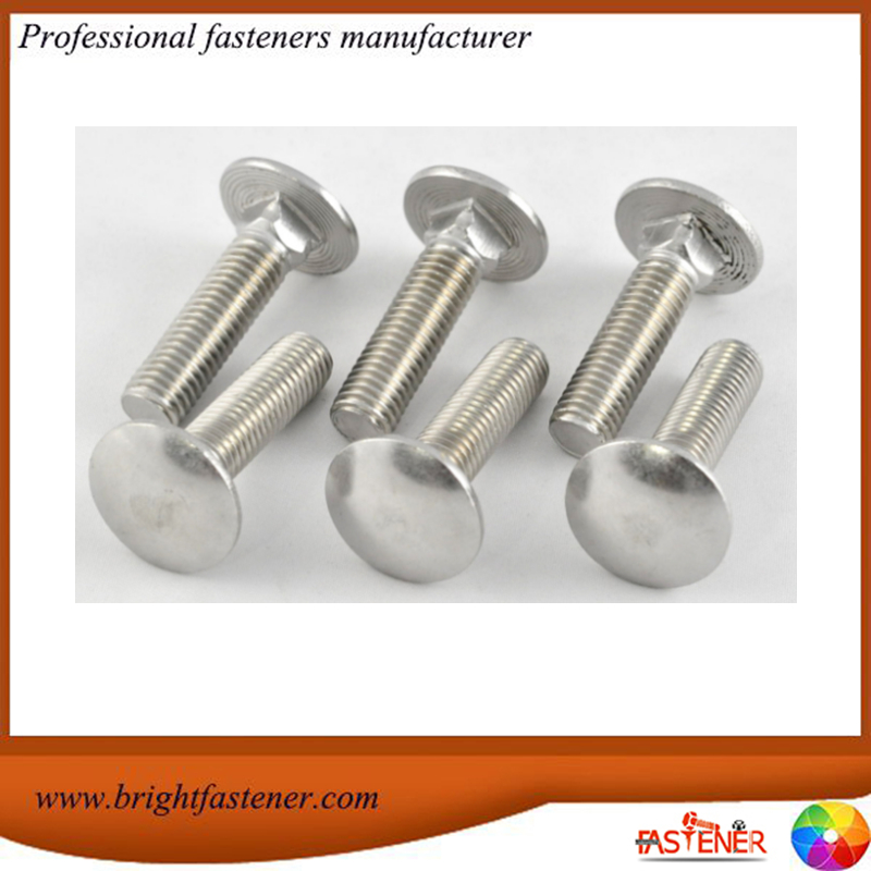 brightfast high quality carriage bolts