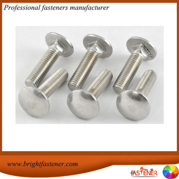 Brightfastener DIN603 Bollos de carruaje