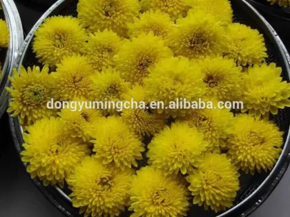 organic herbal yellow tea benefits