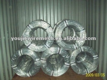 Electro Galvanized Iron Wire in Coils (Youjie manufacturer)