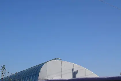 Greenhouse And Nursery