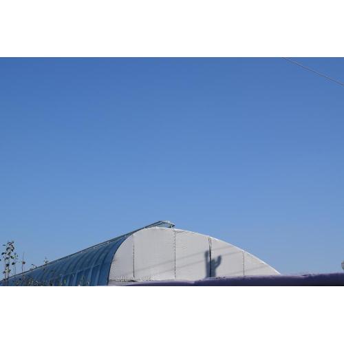 Green Houses Greenhouse And Nursery Supplier