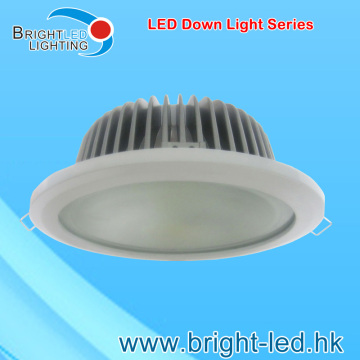 LED Down Light (BL-DL-20W/30W)