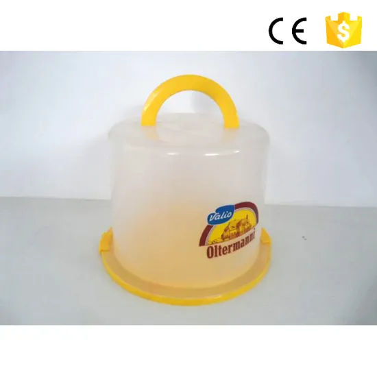 Large Server Container bakery boxes/ mini festive cake packaging