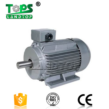 Y2 series Three Phase Induction ac Motor price