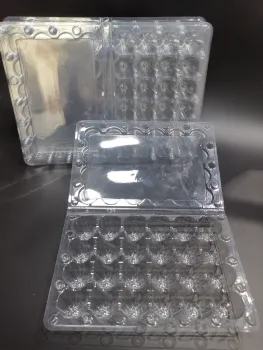 24 Cells Egg Tray Plastic Egg Box