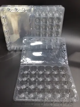 24 Cells Egg Tray Plastic Egg Box
