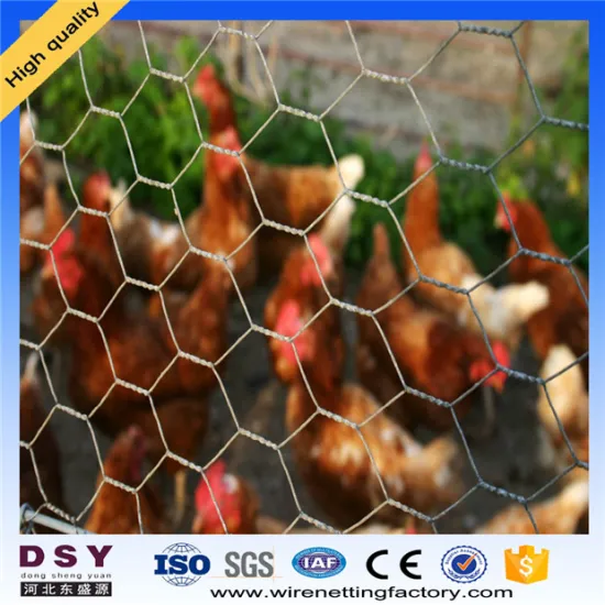 Heavy Type Hexagonal Wire Mesh