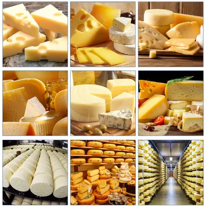 Small Scale Cheese Process Line: ORME Mozzarella Cheese Making Equipment including a Stretch Machine