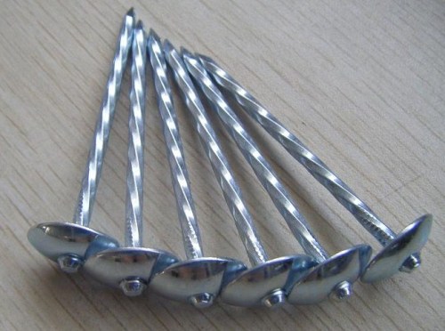 Galvanised Umbrella Head Roofing Nail