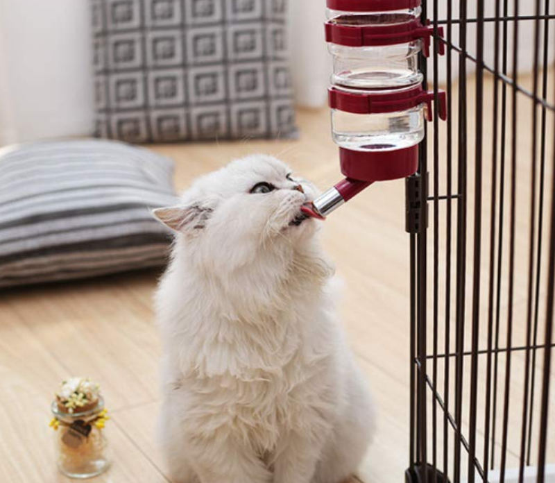 Pet Drinking Fountains Cage