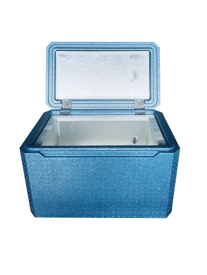 EPP VIP Cooler Insulated Box