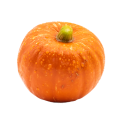 La mitad de liofilización de polvo de calabaza