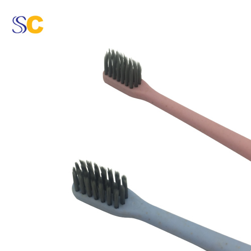 Brosse à dents en paille de blé Adulte