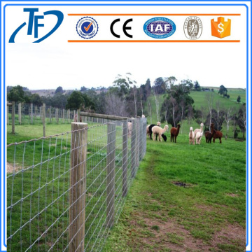 200g / m2 Hot Dipped Galvanized Farm Fence, Pagar Ternak