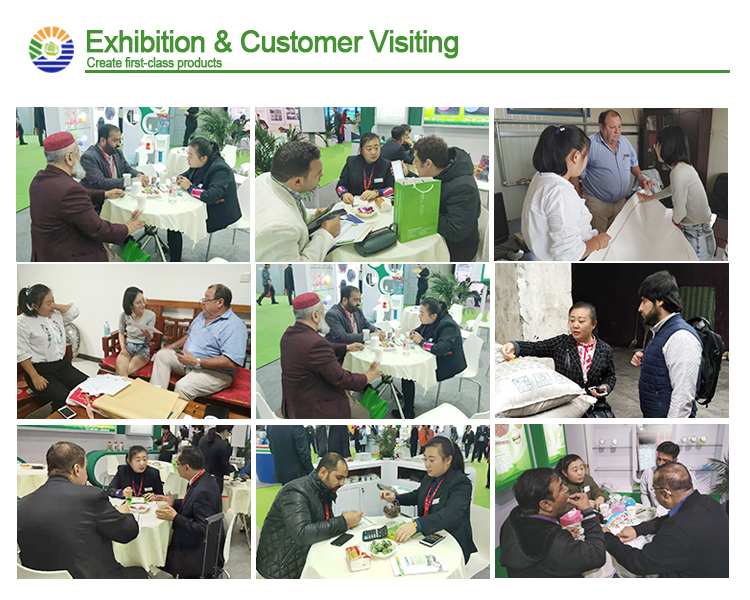 exhibition and customer visiting