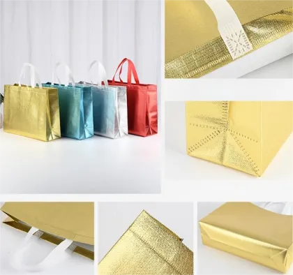 Laminated Non-Woven Shopping Bags