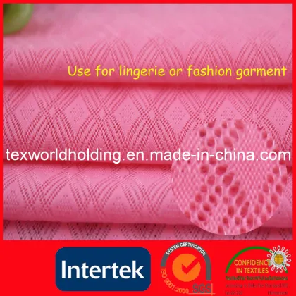 Knitted Dye Stretch Jacquard Nylon Spandex Fabric (WNE3107)