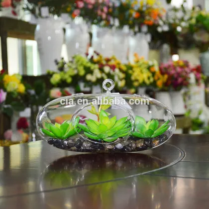 Hanging Boyu Terrarium Artificial Plants Succulent Plant