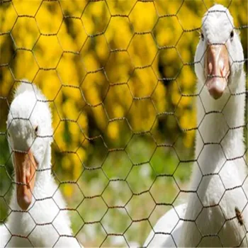 Factory Direct Hexagonal Wire Mesh for Chickens - Galvanized Chicken Wire Mesh for Sale