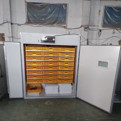 1232 Chicken Egg Incubator & Hatcher Machine