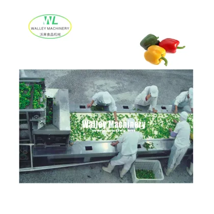 Automatic Bell Pepper Pickling Production Line for Red and Green Peppers