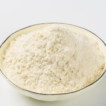 nature dehydrated garlic powder common quality