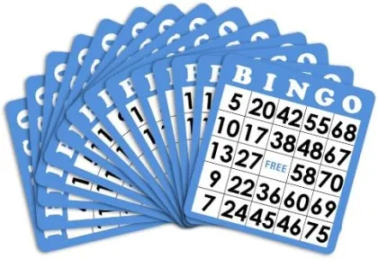 Professional Custom Bingo Cards for Family Game Night