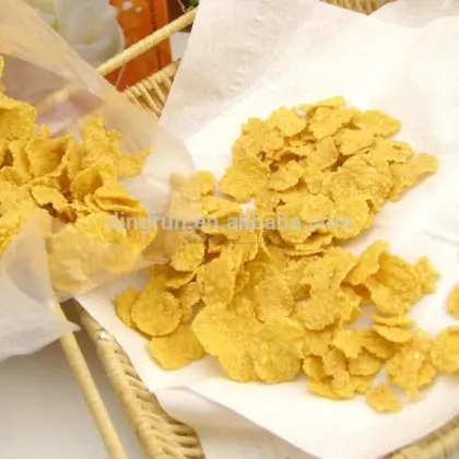 Nestle products roasted corn flakes processing line machine