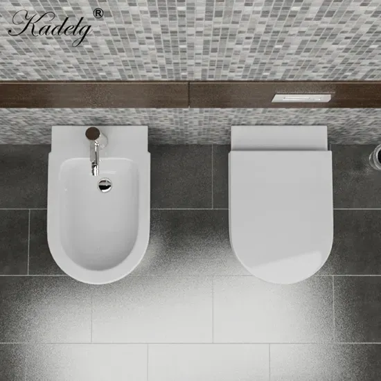 CE Standard Wall Hung Ceramic Toilet Set Round Bathroom Toilet Sanitary Ware

**Title:** Wall-Hung Ceramic Toilet with CE Standard
