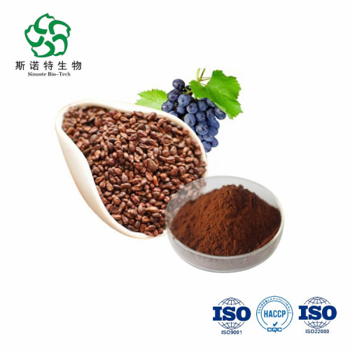 China Antioxidant 95%Procyanidins Grape Seed Extract Manufactory